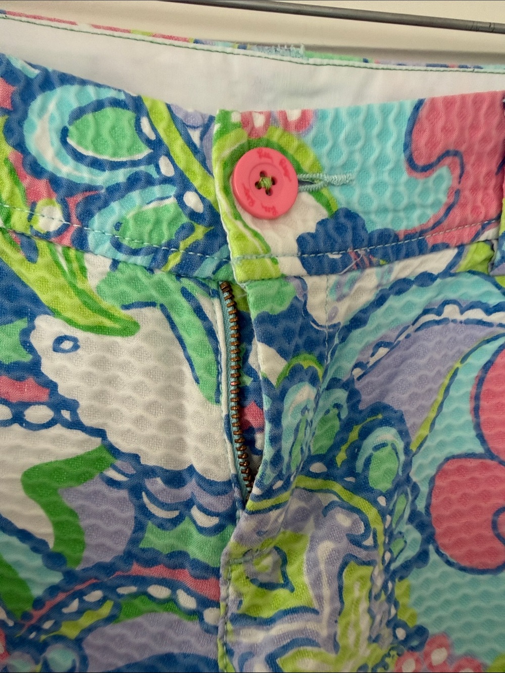 Lilly Pulitzer Multicolor Paisley Cotton Shorts - Blue Pink Green - Picture 2 of 4